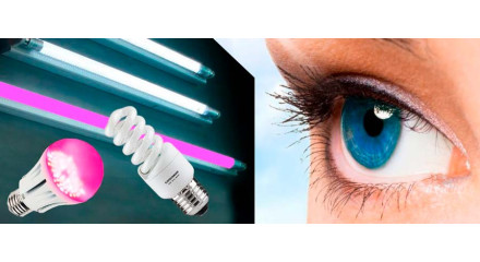 Міф чи правда: чи справді LED-лампи шкідливі для зору
