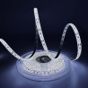 Светодиодная лента белая 12V smd2835 120LED/м IP65