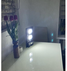 Светильник уличный на солнечной батарее LED "COMPACT-20" 20 W (074-010-0020-020)