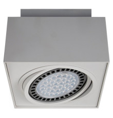 Точковий світильник Zumaline boxy cl 1 20074-WH