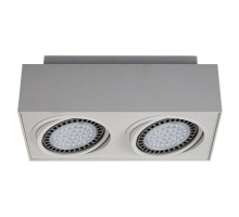 Точковий світильник Zumaline boxy cl 2 20075-WH