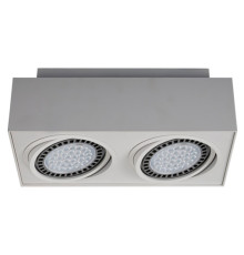 Точковий світильник Zumaline boxy cl 2 20075-WH