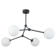 Люстра TK-Lighting fairy black 4 4855 чорний ( 4017126 )