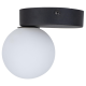 Світильник TK-Lighting bianca black 5681 чорний ( 4016911 )