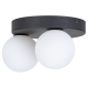 Світильник TK-Lighting bianca black 2 5682 чорний ( 4016910 )