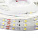 Светодиодная лента белая 12V smd 2835 60LED/м IP20 ( 1017947 )